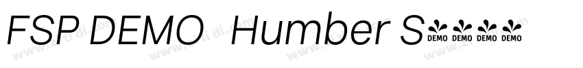 FSP DEMO   Humber S字体转换